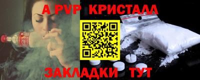 ешки Кингисепп