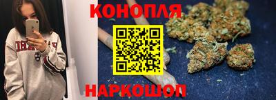 ешки Кингисепп