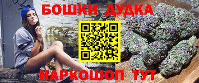 ешки Кингисепп